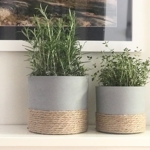 Flower Pot - Picture 5 of 6